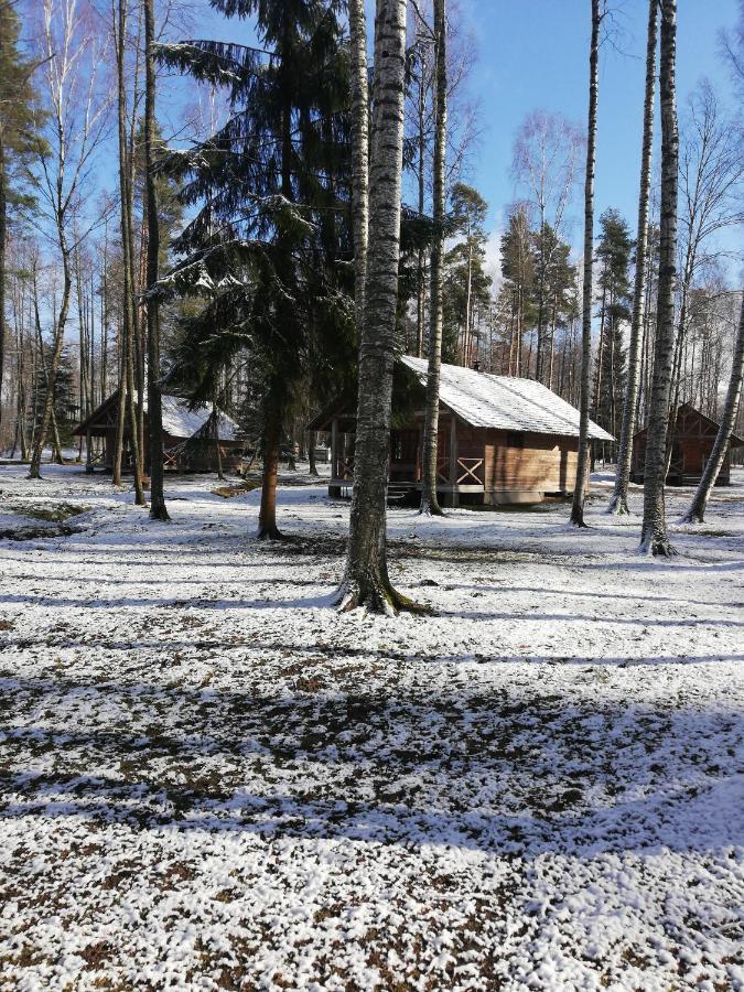 Kempings "Muiznieki" Renda Kültér fotó